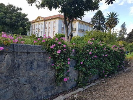 Hacienda de Simon I. Patino -Pairumani, Cochabamba, Bolivia 0