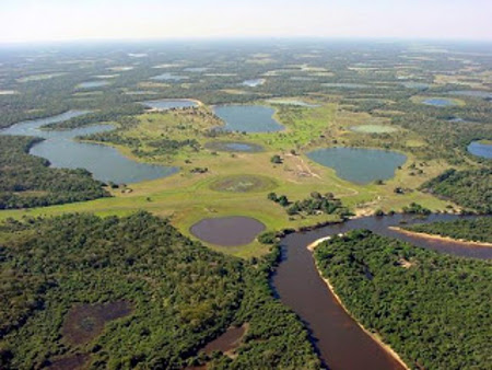 Pantanal, Baia do Burro, Brasil 0