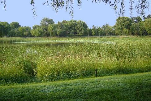 Parque Chaoyang, Beijing, China 1