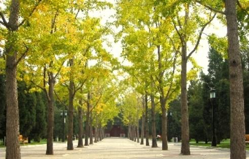 Parque Ditan, Beijing, China 1