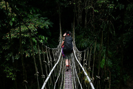 Parque Naciona Gunung Mulu, Miri, Sarawak, Malasia 1