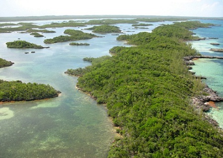 Parque Nacional Abaco, Bahamas 1