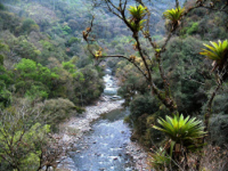 Parque Nacional Baritú, Salta, Argentina 1