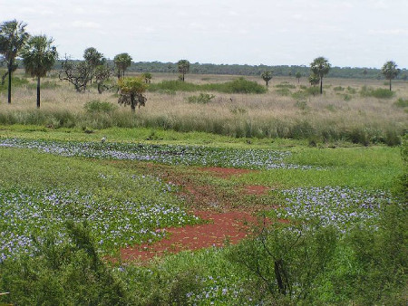 Parque Nacional Chaco, Chaco, Argentina 1