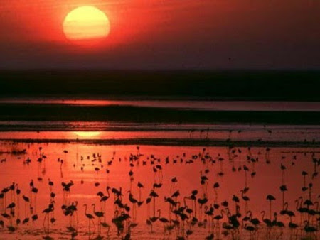 Parque Nacional de Doñana, Huelva 1