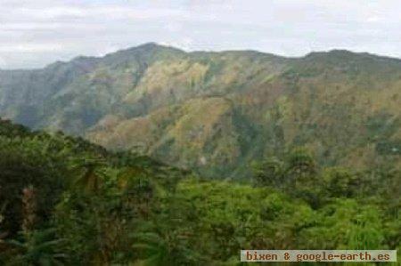 Parque nacional de Macaya, Duplantin, Haití 1