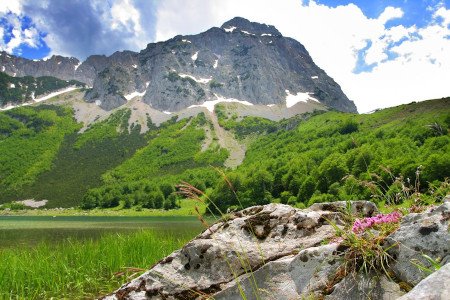 Parque nacional de Sutjeska, Bosnia y Herzegovina 🗺️ Foro Europa 0