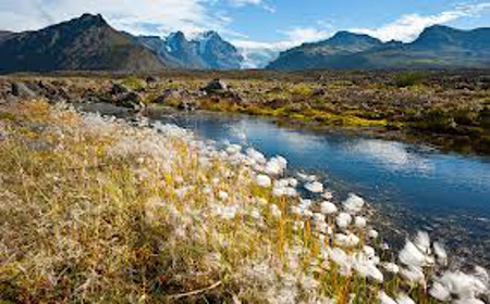 Parque Nacional de Vatnajoekull, Skaftafel, Islandia 1