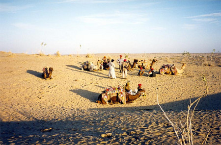 Parque Nacional del Desierto, Rajasthan, India 0