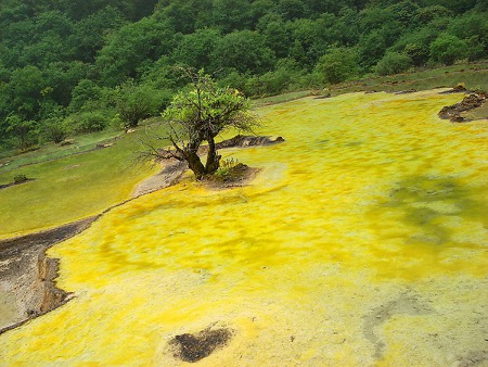 Parque Nacional HuangLong, Sichuan, China 0