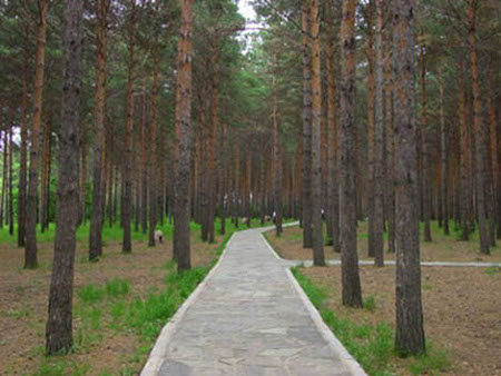 Parque Nacional Jingyue, Changchun, Jilin, China 1