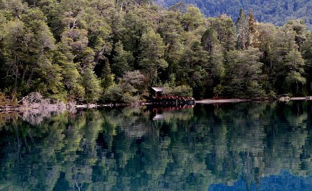 Parque Nacional Los Alerces, Chubut, Argentina 1