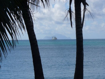 Parque Nacional Marino Saba, Antillas Holandesas 2