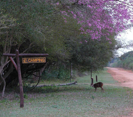 Parque Nacional Mbarucuyá, Corrientes, Argentina 0