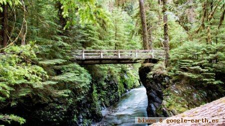 Parque Nacional Olympic, Washington, EE. UU. 1