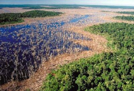 Parque Nacional Río Pilcomayo, Formosa, Argentina 1