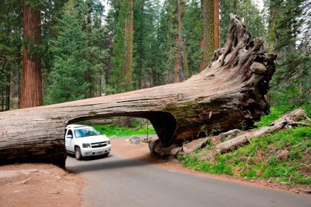 Parque Nacional Sequoia, California, EE. UU. 0