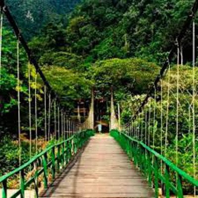 Parque Nacional Tingo Maria, Huánuco, Peru 0