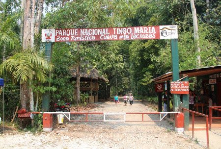 Parque Nacional Tingo Maria, Huánuco, Peru 1