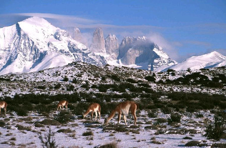 Parque Nacional Torres del Paine, Magallanes, Chile 1