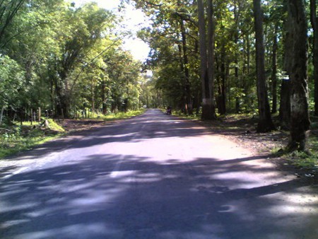 Parque Nacional Vansda, Gujarat, India 0