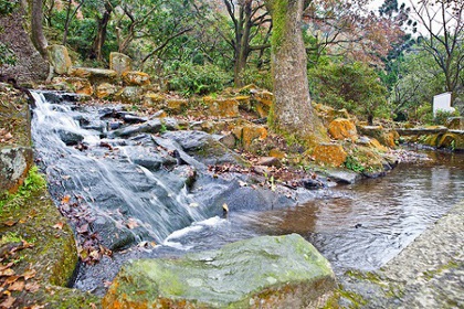 Parque Nacional YangmingShan, Taiwan 1