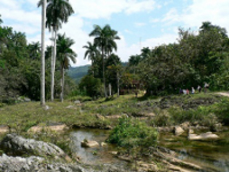 Parque Natural Topes de Collantes, Trinidad, Cuba 1