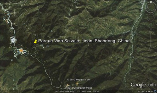 Parque Vida Salvaje, Jinan, Shandong, China 🗺️ Foro China, el Tíbet y Taiwán 2