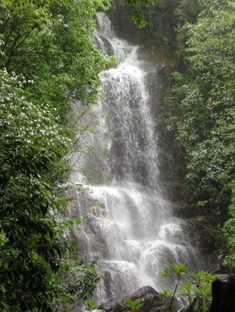 Parque Nacional Yandang, Zhejiang, China 1