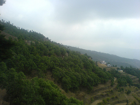 Pauri Garhwal, Uttarakhand, India 0