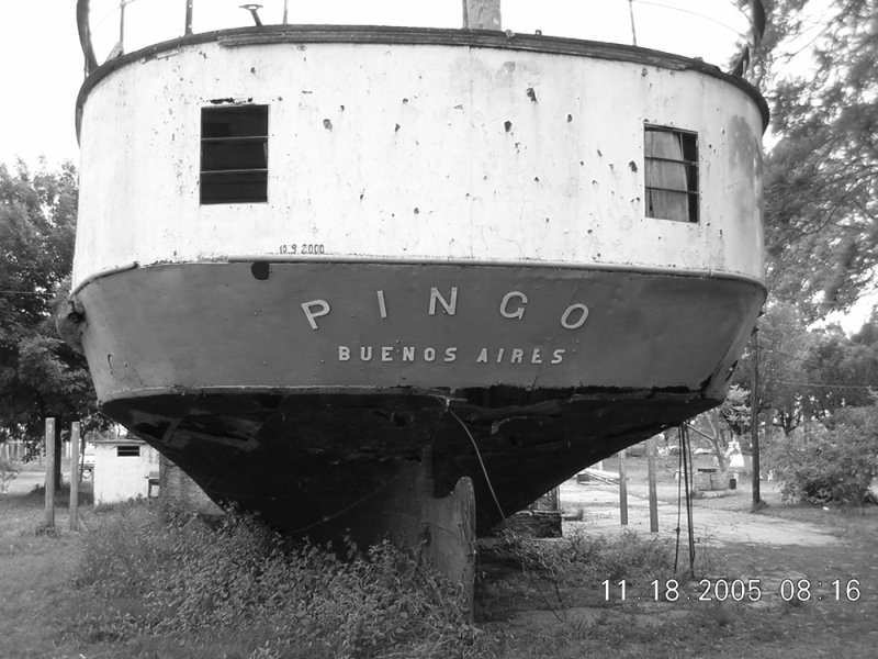 Pingo Paddle Steamer - Argentina 2