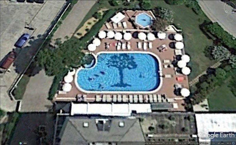 Piscina con árbol dentro, Italia 1 - Las piscinas más originales
