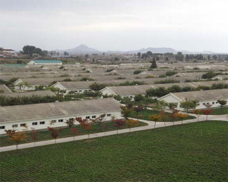 Planta de Patos de Tudan, Pyongyang, Korea del Norte 0