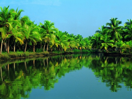 Playa allepey, Kerala, India 0