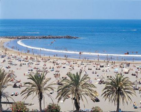 Playa de las Americas, Isla de Santa Cruz de Tenerife 0