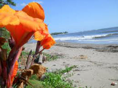 Playa Managua, Baracoa, Guantanamo, Cuba 1