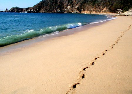 Playa Mazunte, Zipolite, Oaxaca, Mexico 0