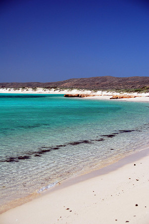 playa Turquoise, Ningaloo, Australia 1