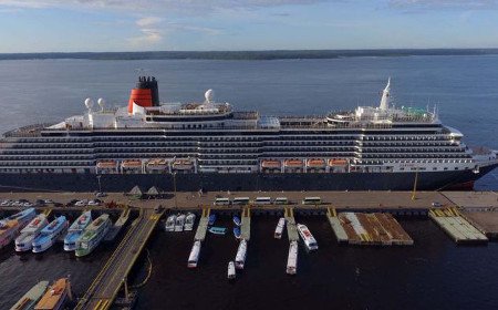 Puerto de Manaus, Amazonas, Brasil 0