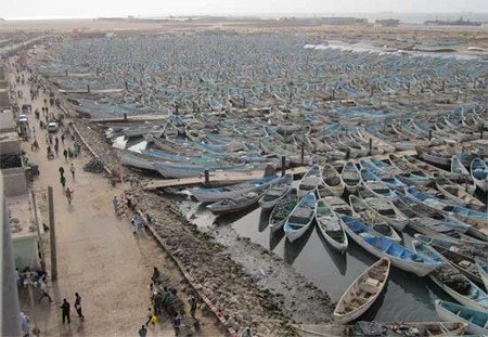 PATERAS en Puertos de Mauritania Dispuestos asaltar Canarias 🗺️ Foro África 0