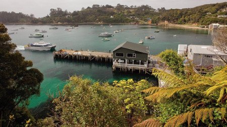 Puerto de Oban (Isla Stewart), Nueva Zelanda 1