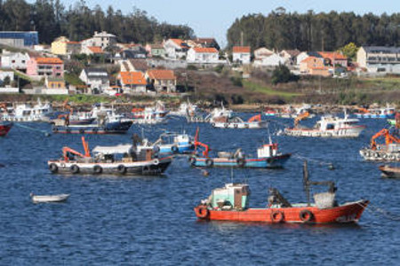 Puerto Isla de Arosa, Pontevedra (Foto 3)