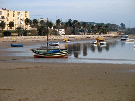 Puerto Real, Cadiz, Andalucia (Foto 3)