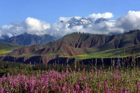 Qilian Shan, Quinghai, China 0