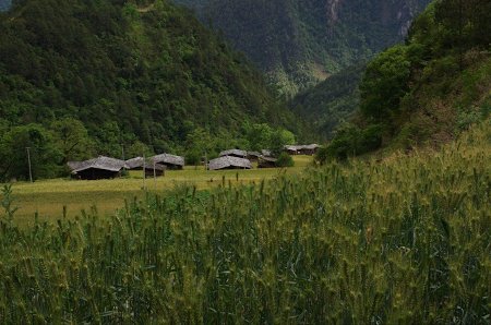 Qiunatong, Yunnan, China 0