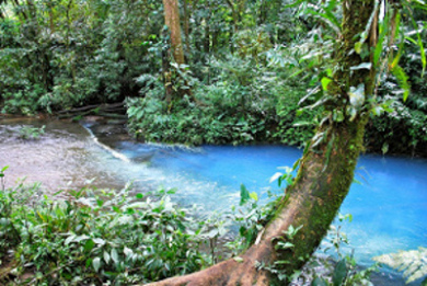 Río Celeste, Alajuela, Costa Rica 1