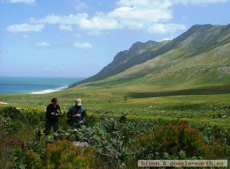 Reserva Natural de Kogelberg, Ciudad del Cabo, Sudáfrica 0