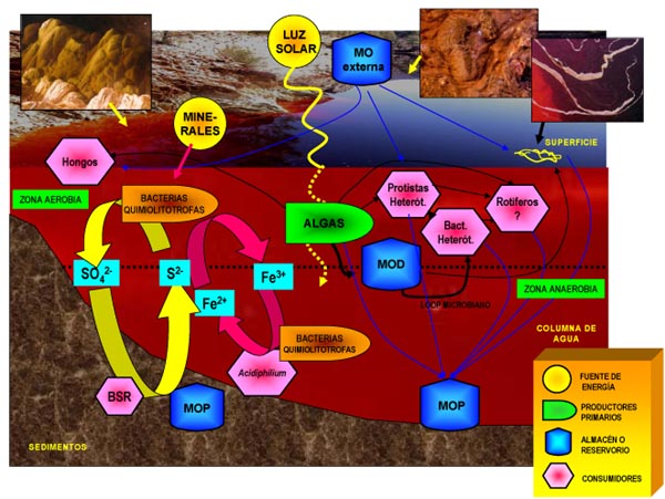 Minas de Riotinto 🗺️ Foro España