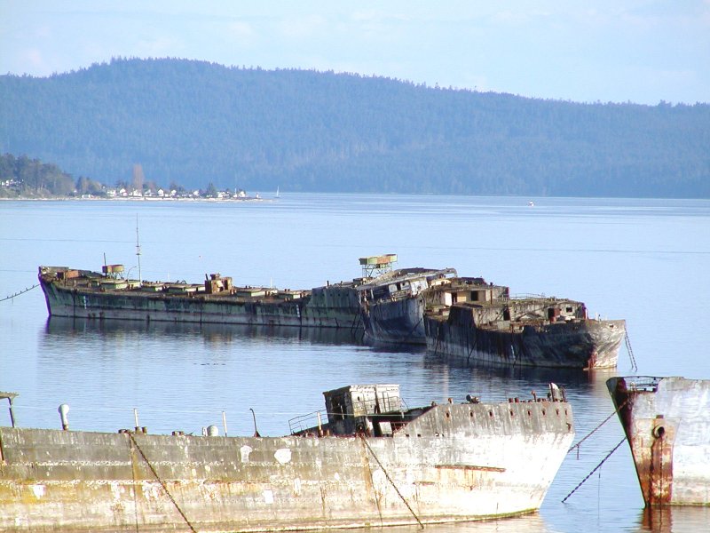 S.S. Emile N. Vidal 2 - Barcos de hormigón armado (Concreto o Ferrocemento)