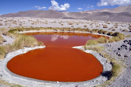 Salar de Antofalla, Catamarca, Argentina 1